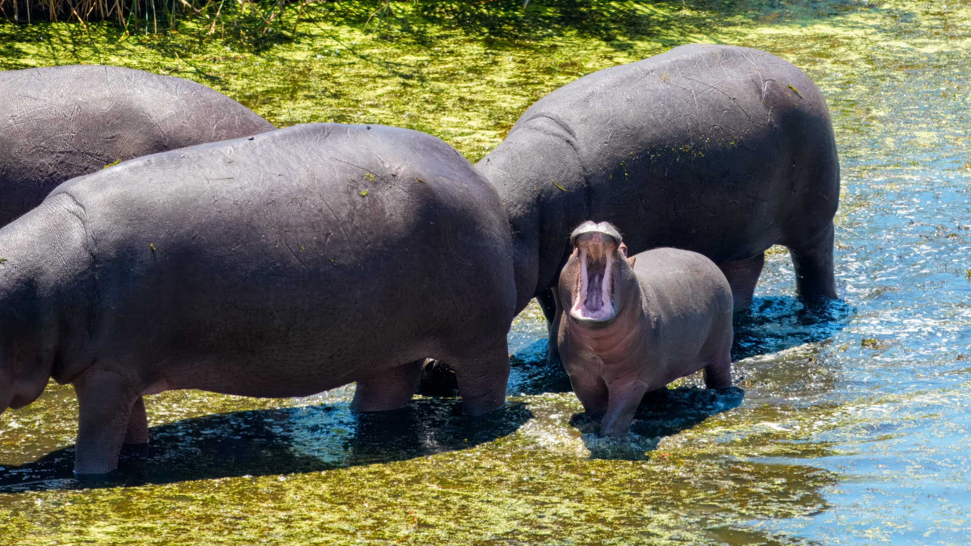 Kruger25 2025 11 01 10 52 09 ILCE 1M2 181